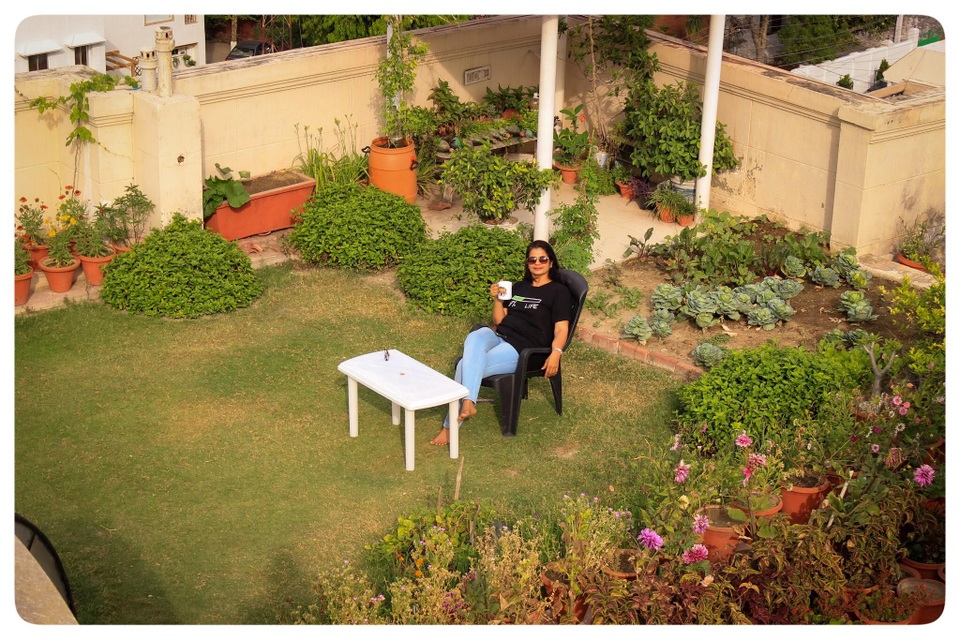 Mát mắt với khu vườn 240m2 trên sân thượng tầng 7 xanh tốt như nông trại - 1