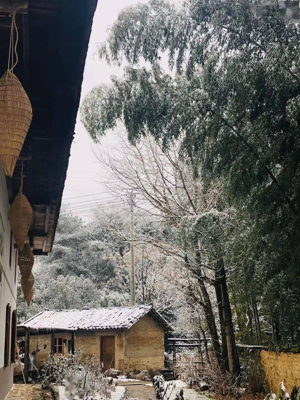 Chán cuộc sống phố thị, cô gái lên núi làm căn nhà nhỏ ngập hoa lá - 7