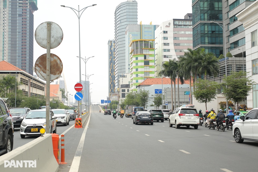 TPHCM cần phủ xanh thế nào khi hàng nghìn cây đã hy sinh cho dự án? - 4 TPHCM cần phủ xanh thế nào khi hàng nghìn cây đã hy sinh cho dự án? - 4