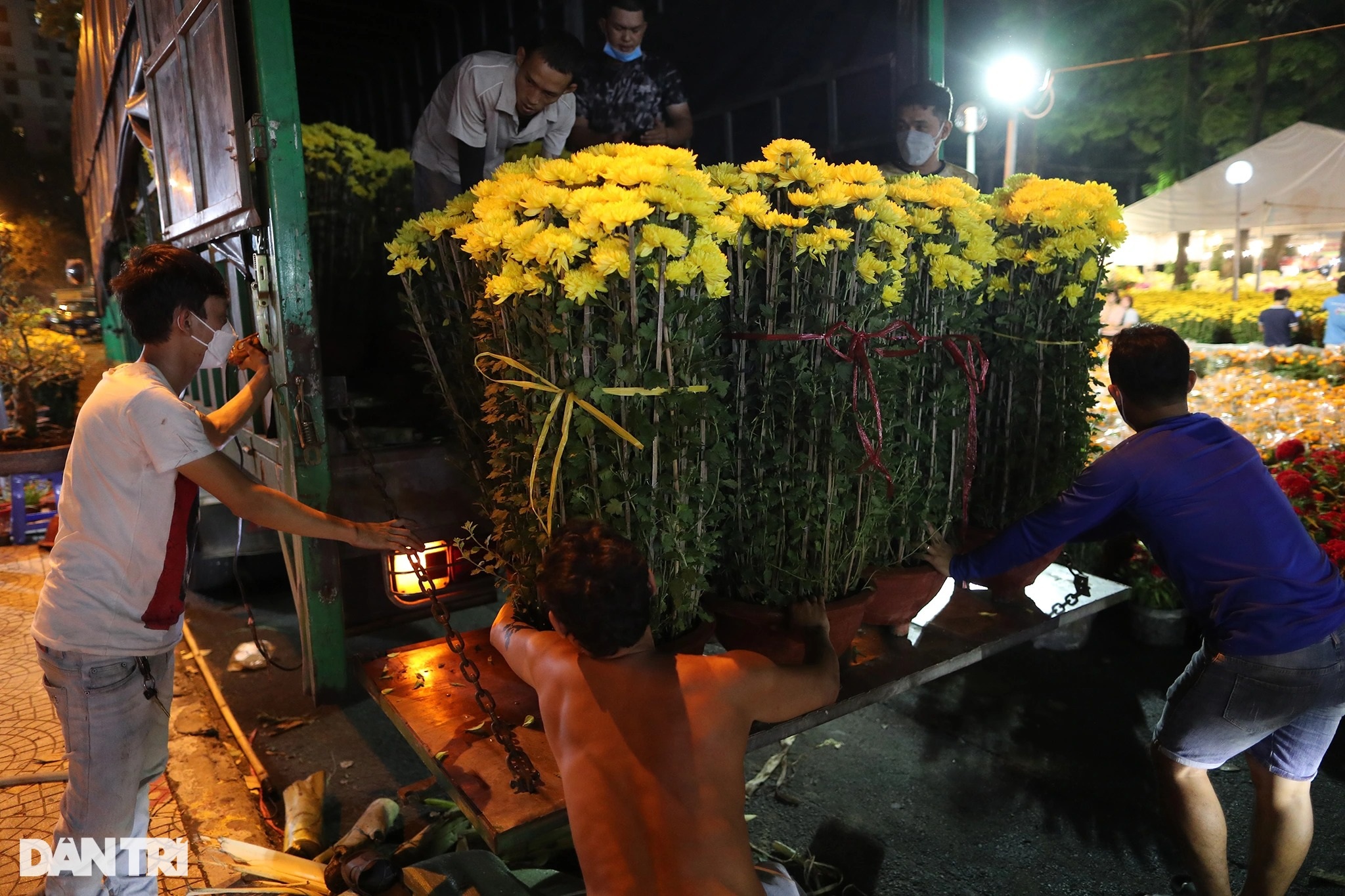 Người bán hoa mắc màn, võng... xuyên đêm canh cây cảnh Tết ở TPHCM - 2 Người bán hoa mắc màn, võng... xuyên đêm canh cây cảnh Tết ở TPHCM - 2