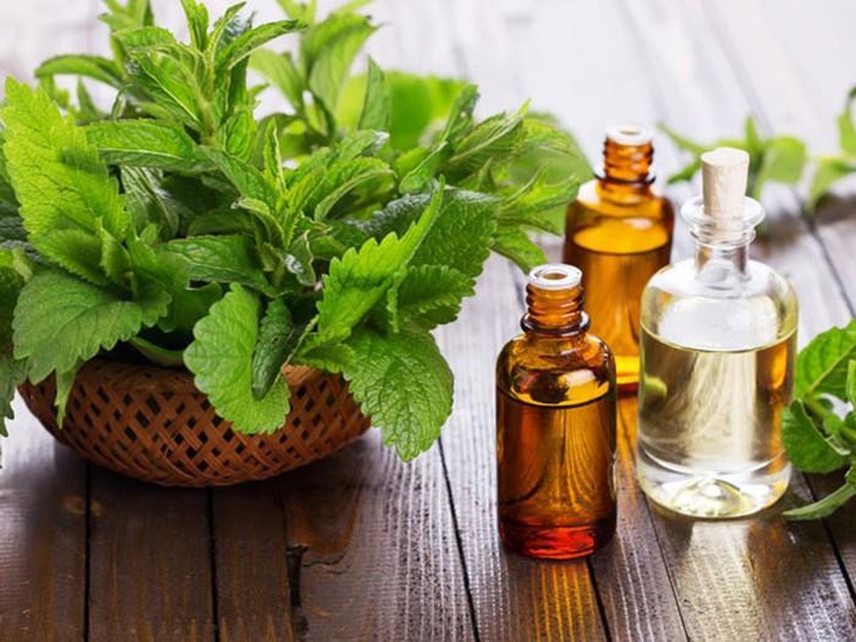Bách Thống Vương – Giải pháp toàn diện dành cho người thường xuyên bị đau đầu - 2 Bách Thống Vương – Giải pháp toàn diện dành cho người thường xuyên bị đau đầu - 2