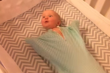 Chết cười với em bé "fan cuồng" của mèo