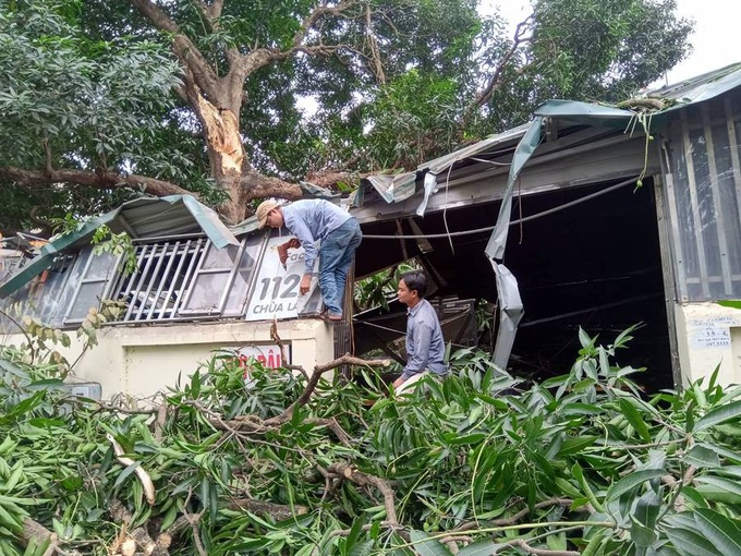 Hà Nội: Cây cổ thụ bất ngờ đổ sập xuống quán ăn, người dân hoảng loạn núp dưới gầm bàn cầu cứu - Ảnh 6. Hà Nội: Cây cổ thụ bất ngờ đổ sập xuống quán ăn, người dân hoảng loạn núp dưới gầm bàn cầu cứu - Ảnh 6.