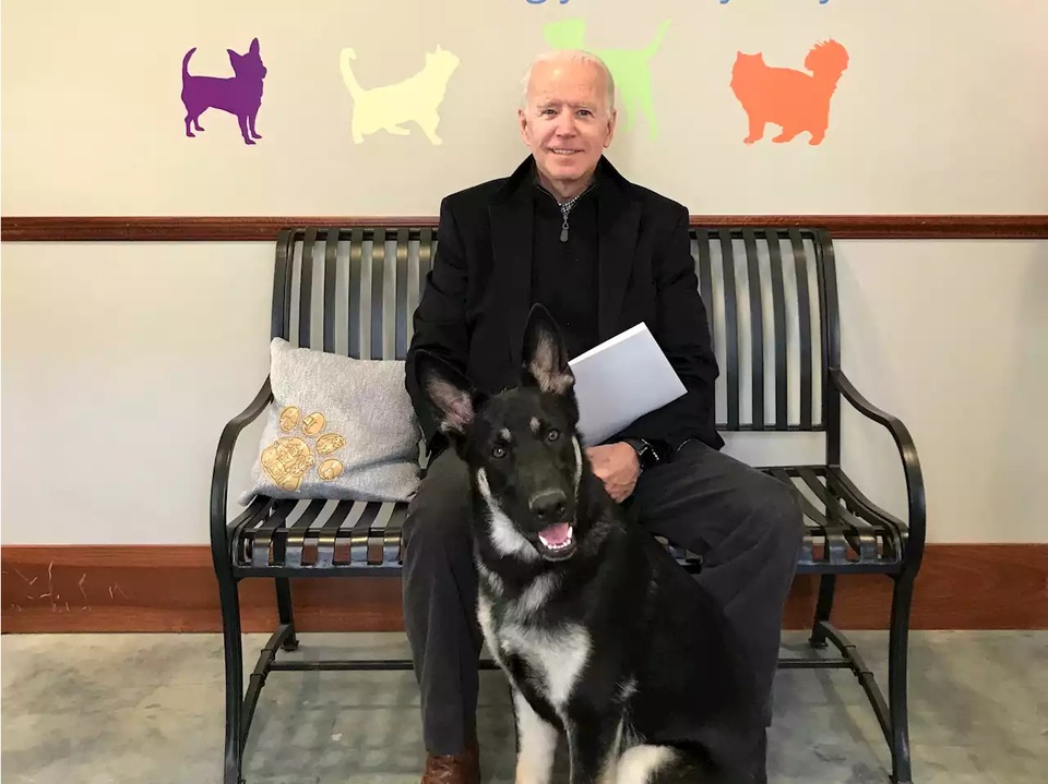 Ông Biden chấn thương do trượt ngã khi chơi với thú cưng - 1 Ông Biden chấn thương do trượt ngã khi chơi với thú cưng - 1
