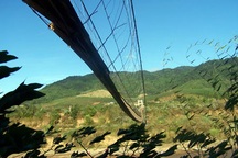 Lật cầu treo “làng đu dây”, 7 người rơi xuống sông