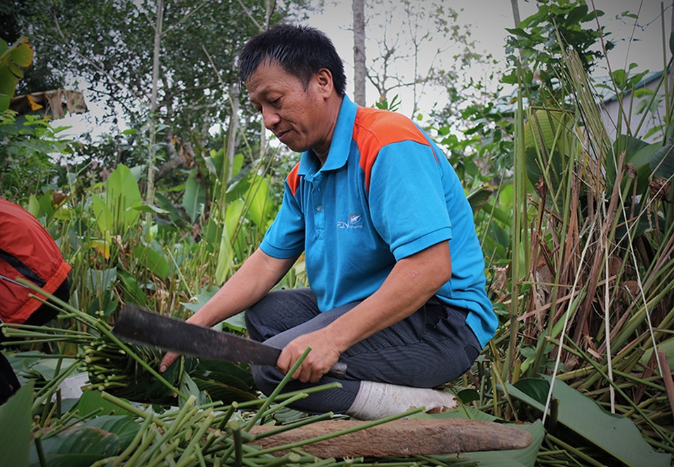 Hà Tĩnh: Thủ phủ lá dong Đức Thọ hối hả vào vụ Tết - 12 Hà Tĩnh: Thủ phủ lá dong Đức Thọ hối hả vào vụ Tết - 12