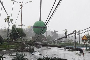 Chủ tịch nước cảm ơn Tổng thống Nga hỗ trợ vùng lũ Việt Nam 5 triệu USD