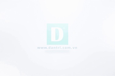 Đã mắt xem hàng ngàn con cá diêu hồng nhảy múa uốn lượn