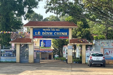 5 gói thầu mua sắm thiết bị giáo dục giống nhau cả... lỗi chính tả