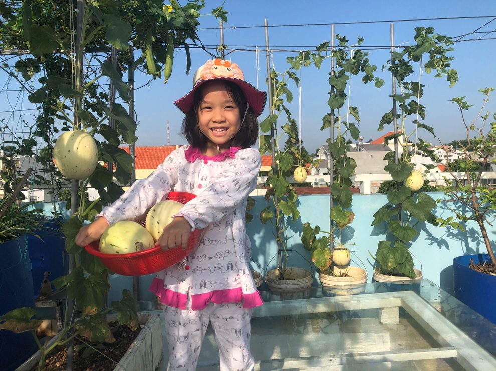 Bất ngờ với vườn rau trái đỉnh cao trên nóc nhà tại Đồng Nai - 8