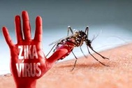 TPHCM: 80% số quận huyện bị vi rút Zika tấn công