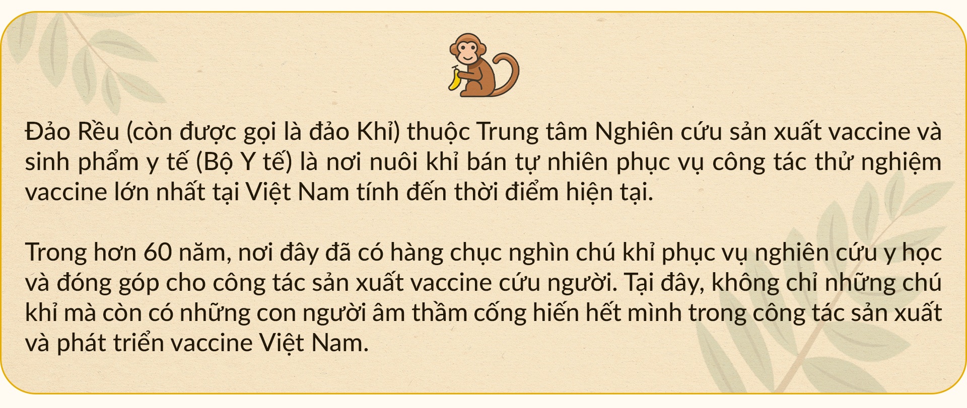 Những gia đình 3 thế hệ bám đảo nuôi đàn khỉ hiến thân cho y học - 1 Những gia đình 3 thế hệ bám đảo nuôi đàn khỉ hiến thân cho y học - 1