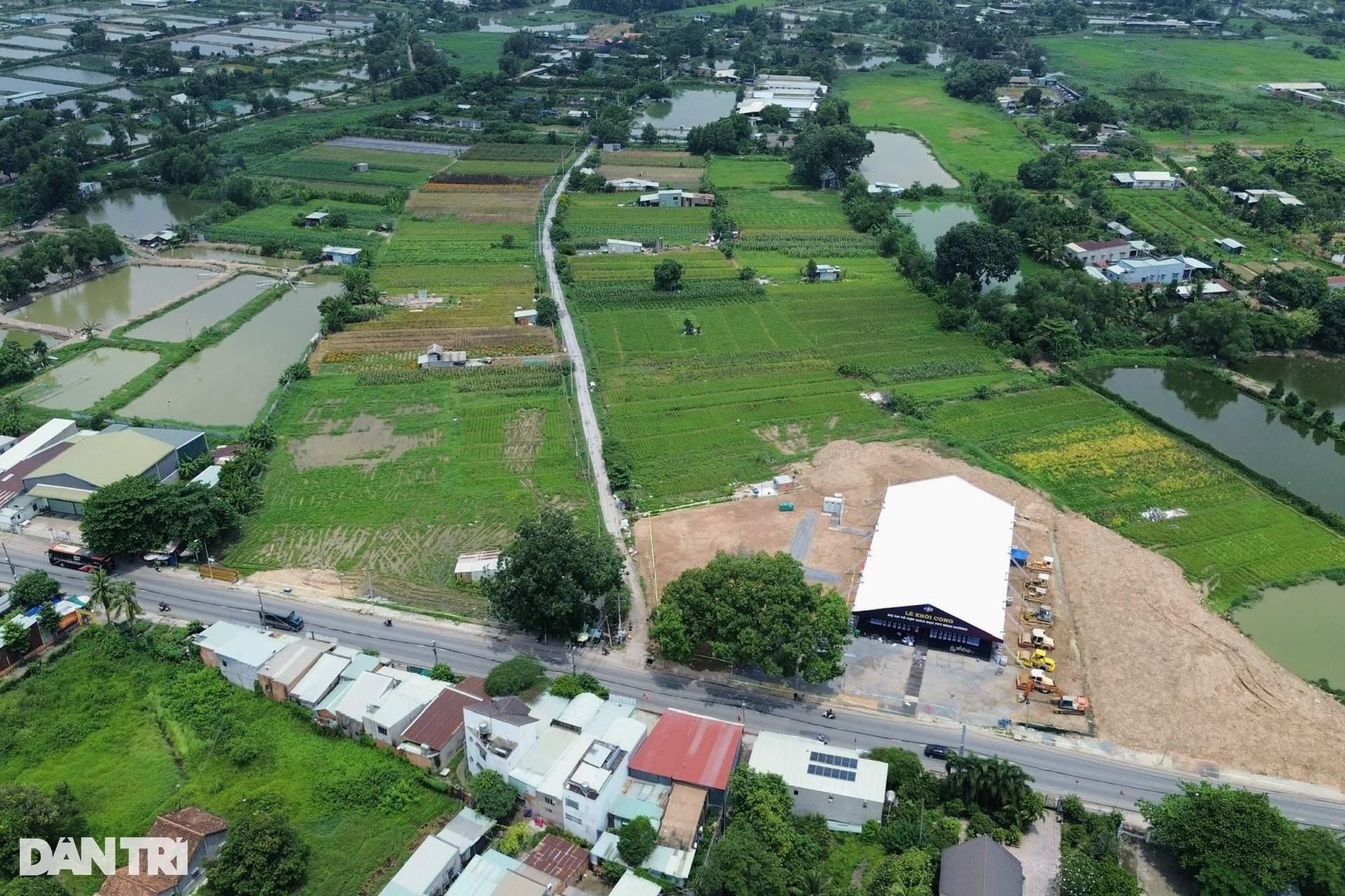 Người dân tiếc nuối khi làng hoa lớn nhất Bình Dương không còn - 2