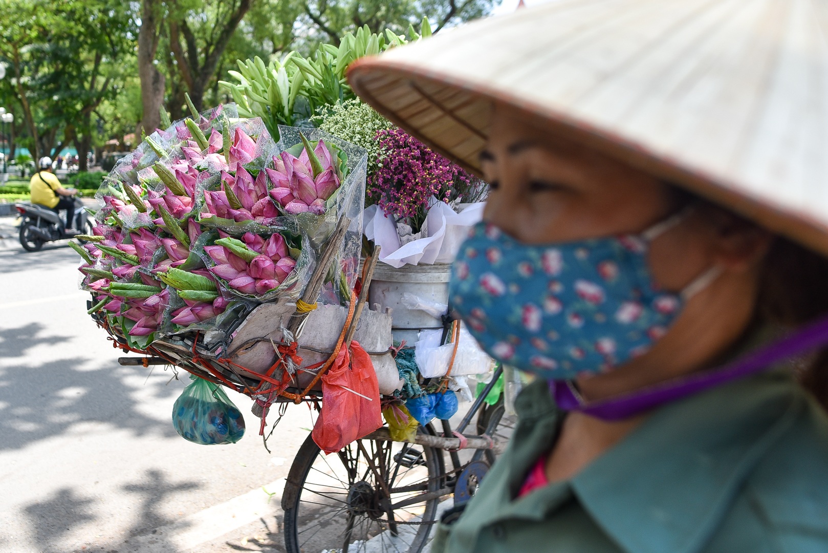 Hà Nội: Ngẩn ngơ với sắc sen đầu mùa xuống phố - 12 Hà Nội: Ngẩn ngơ với sắc sen đầu mùa xuống phố - 12
