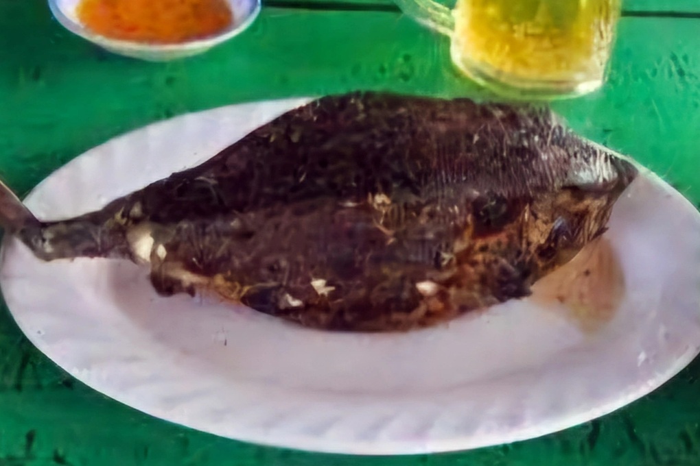 Lập đoàn kiểm tra vụ con cá 0,5kg chém gần 1,8 triệu đồng ở Nha Trang - 2 Lập đoàn kiểm tra vụ con cá 0,5kg chém gần 1,8 triệu đồng ở Nha Trang - 2