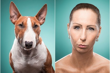 Chùm ảnh vui: Chủ nào chó nấy