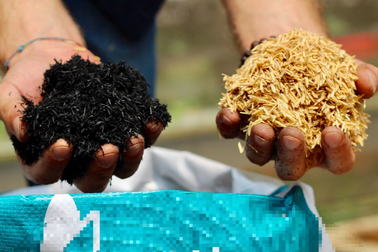 Một công ty sản xuất than và phân bón sinh học được đầu tư 5 triệu USD