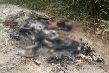 Phát hiện xương người nghi bị đốt trong khu nghĩa địa
