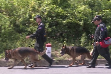 Phạm nhân vượt ngục có thể tiếp tục gây án khi trốn trên đèo Hải Vân