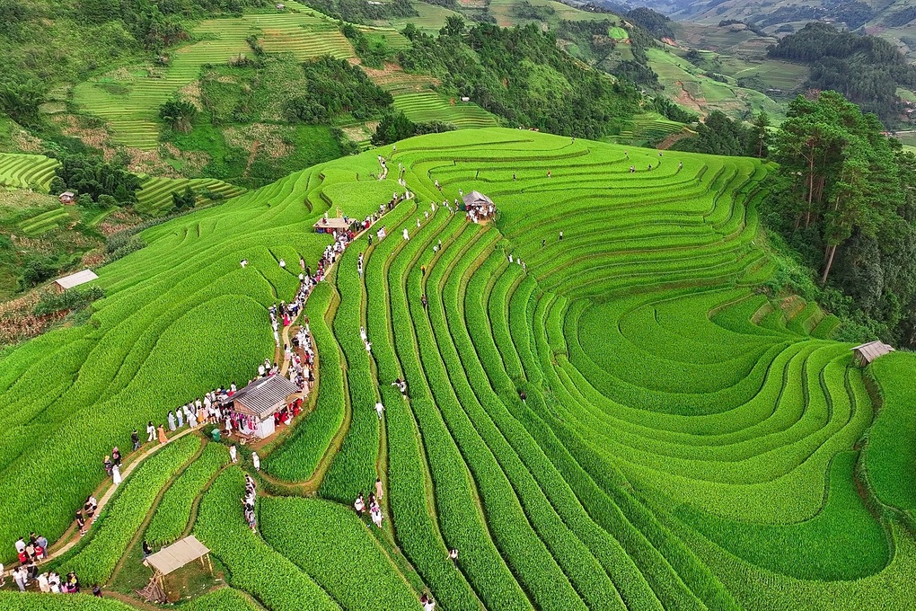 Mu Cang Chai ក្នុងរដូវកាលដ៏ស្រស់ស្អាតបំផុត កន្លែងជាច្រើនត្រូវបានលក់អស់ហើយ ភ្ញៀវកក់កន្លះឆ្នាំជាមុន - 3 Mù Cang Chải mùa đẹp nhất, nhiều nơi “cháy phòng”, khách đặt trước nửa năm - 3