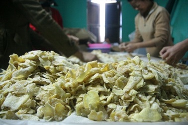 Nỗi buồn làng mứt gừng truyền thống