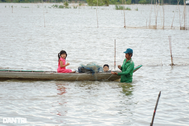 Nghề "ăn phù sa" đếm từng ngày ngóng mùa "lộc trời ban"