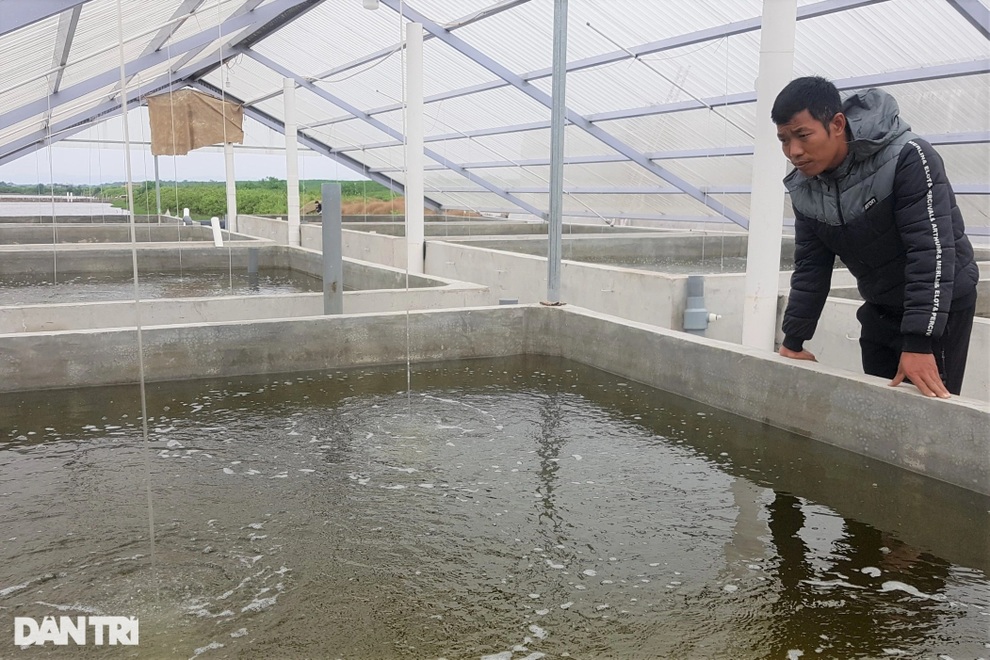 Chàng trai 8X nuôi con nhỏ li ti, thu tiền tỷ mỗi năm - 1 Chàng trai 8X nuôi con nhỏ li ti, thu tiền tỷ mỗi năm - 1