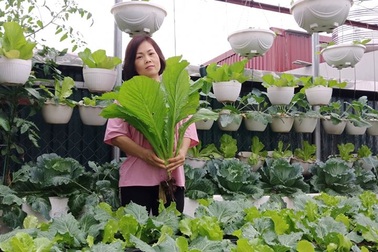 Mãn nhãn “khu vườn trên mây” tốt như nông trại của ông bố đảm Hà Nội