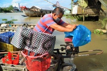 Thương hồ chợ nổi Cần Thơ "gồng mình" cầm cự qua mùa dịch