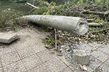 Vụ hàng trăm cột điện bị đổ gãy, Tổng công ty Điện lực miền Trung nói gì?