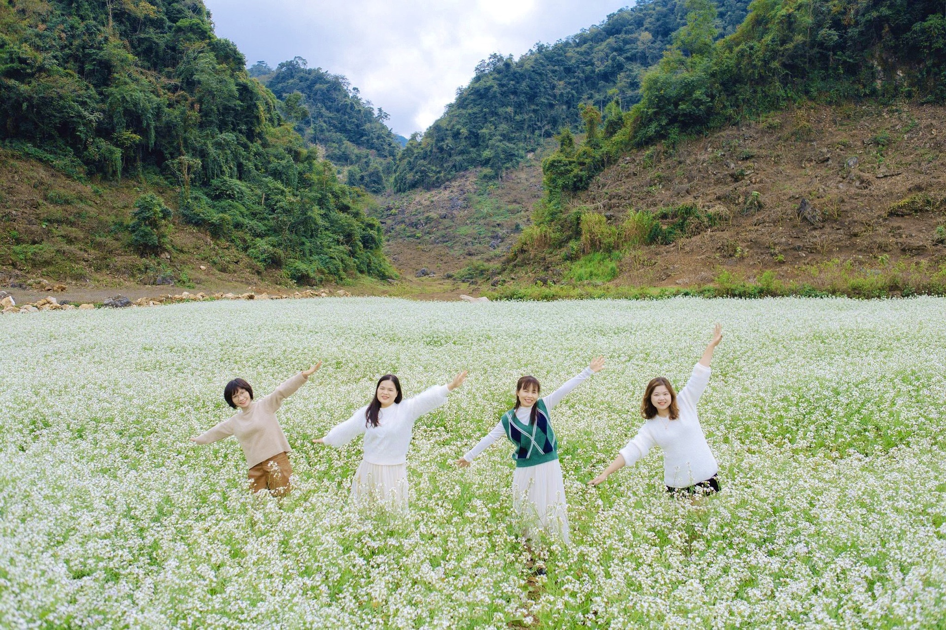 White mustard flowers are vast in Moc Chau, tourists from everywhere flock to take photos - 12