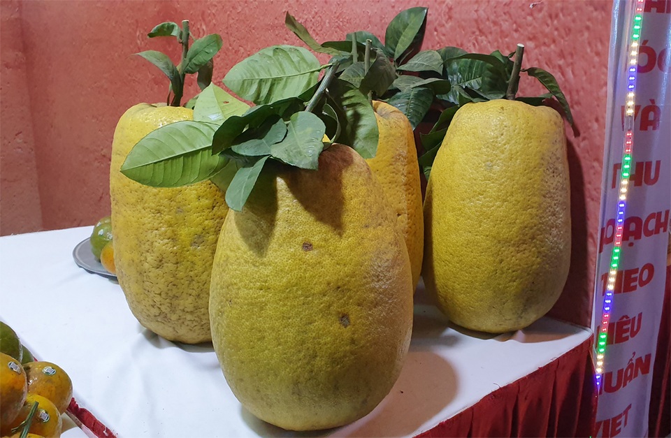 Hà Giang khoe cam sành, chè shan tuyết với người Hà Nội - 3 Hà Giang khoe cam sành, chè shan tuyết với người Hà Nội - 3