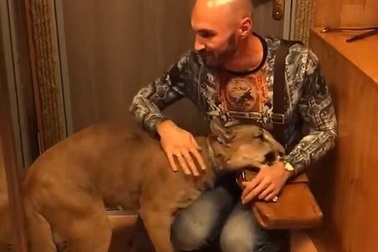 Cặp vợ chồng bạo gan nuôi cọp Mỹ ngay trong khu chung cư đông đúc