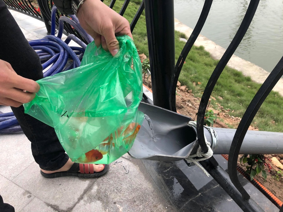 Hà Nội: Lắp cầu trượt “tiễn” Táo quân về trời, dân thích thú xếp hàng chờ đến lượt - 5 Hà Nội: Lắp cầu trượt “tiễn” Táo quân về trời, dân thích thú xếp hàng chờ đến lượt - 5