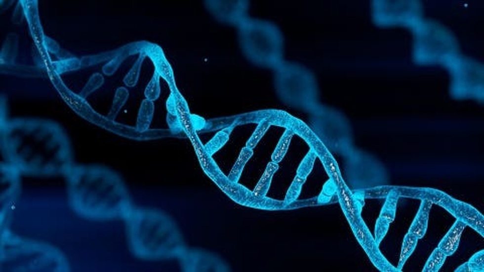 Công nghệ DNA mới mở đường cho “ổ cứng sống” có tuổi thọ hàng nghìn năm - 2