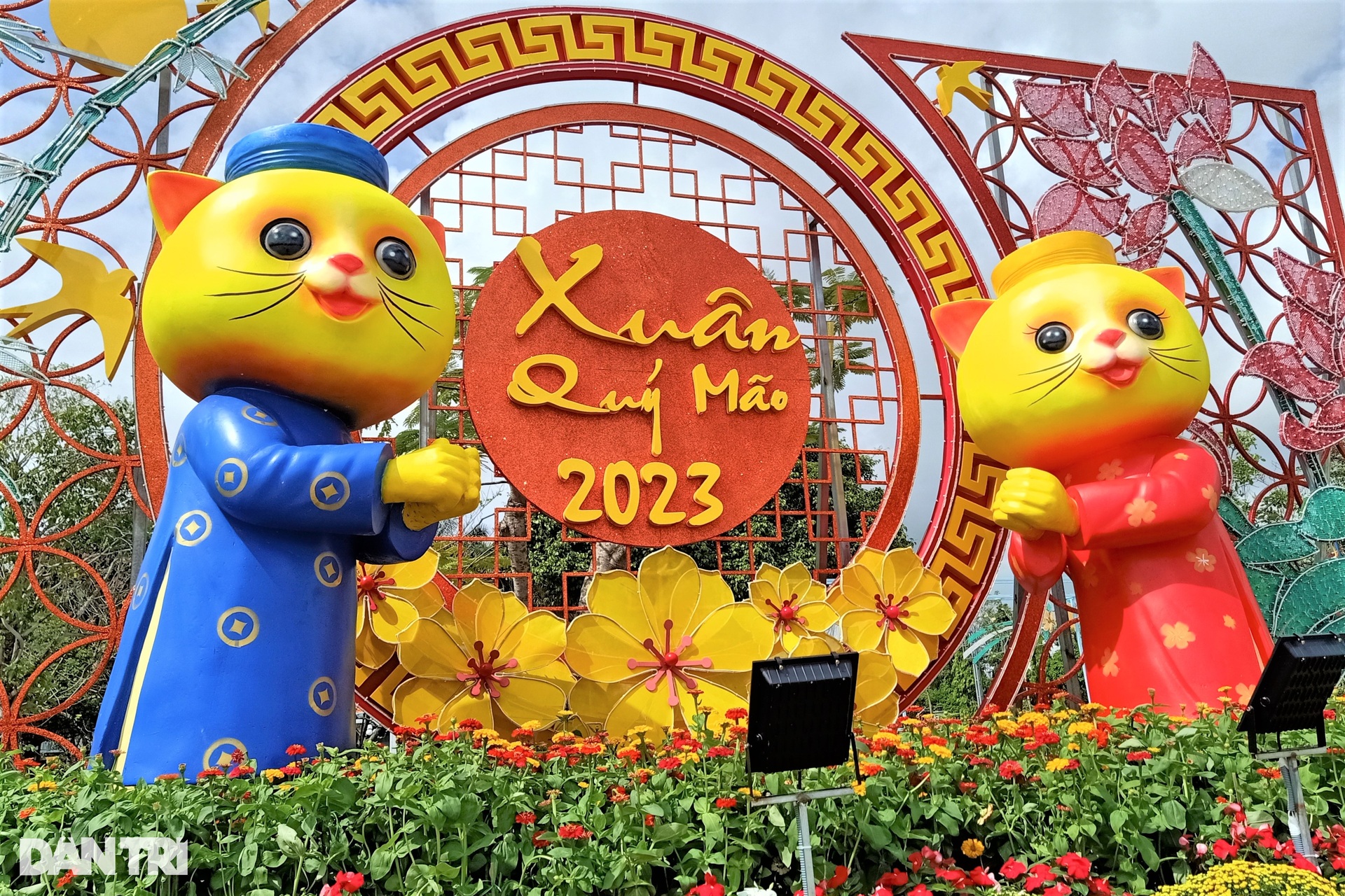 Gia đình mèo, tôm, cua... rủ nhau đón Tết ở xứ Công tử Bạc Liêu - 3 Gia đình mèo, tôm, cua... rủ nhau đón Tết ở xứ Công tử Bạc Liêu - 3
