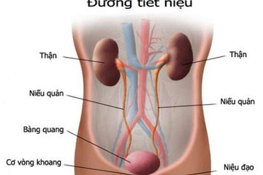 Dấu hiệu cần đi khám ngay nếu không muốn nhiễm trùng đường tiết niệu!