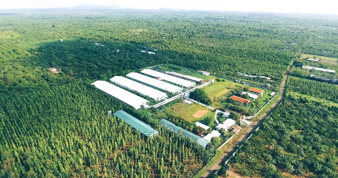 Hành trình nuôi dưỡng điều lành với chuỗi thực phẩm lành 3F Plus - 1 Hành trình nuôi dưỡng điều lành với chuỗi thực phẩm lành 3F Plus - 1