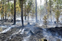 Lời cảnh báo của người 40 năm nghiên cứu biến đổi khí hậu