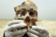 Hài cốt con người vẫn di chuyển trong hơn một năm sau khi chết