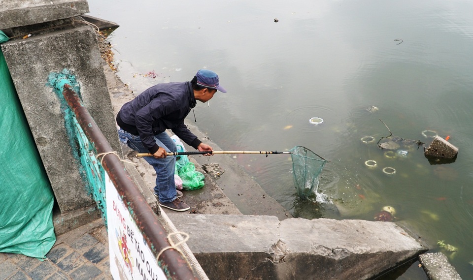 Chưa kịp chầu trời, cá vàng phóng sinh đã thảm hại dưới tay cần thủ - 11