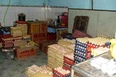 TPHCM: Phát hiện điểm chứa trứng gia cầm lậu lớn 