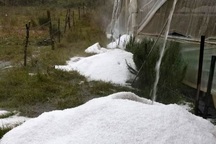 Mưa đá chất thành đống ở Lâm Đồng