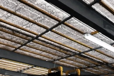 Đột nhập nhà tầng sang chảnh cho cá ở, dự kiến thu cả nghìn tấn