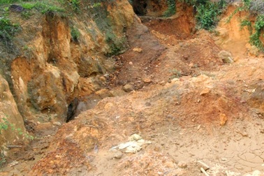 Vụ thuê đất giá cao để tìm vàng: Lấp các hầm vàng "chui"