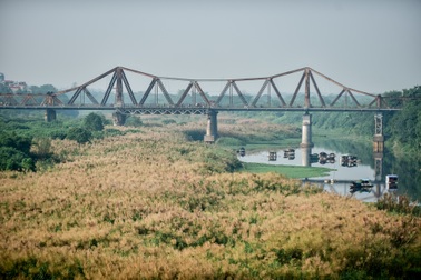 Lạc vào cánh đồng cỏ lau đẹp như xứ sở thần tiên dưới chân cầu Long Biên