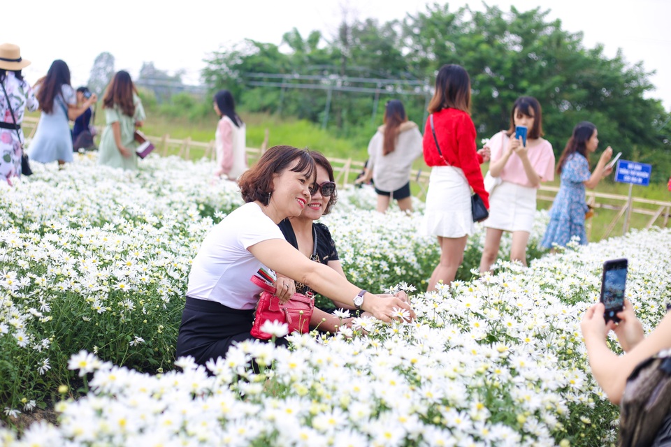 Du khách hào hứng “check – in” vườn cúc hoạ mi đầu tiên tại Đà Nẵng - 9