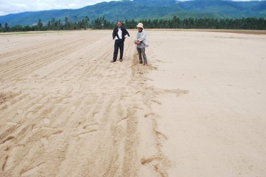 Hàng trăm ha ruộng có nguy cơ bỏ hoang vì “lũ cát”