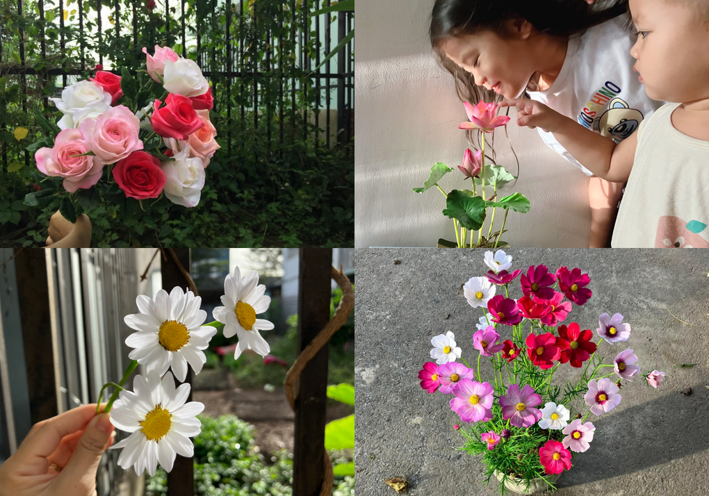 Độc đáo mẹ đảm Bình Dương tự trồng rau quả từ đất sét thu tiền triệu - 3 Độc đáo mẹ đảm Bình Dương tự trồng rau quả từ đất sét thu tiền triệu - 3