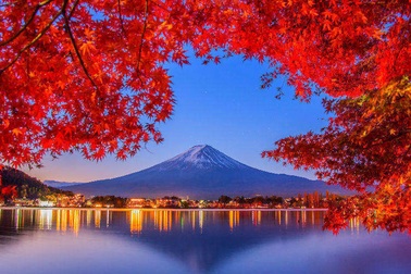 Những sự thật thú vị "người chơi hệ phong Nhật" cần biết